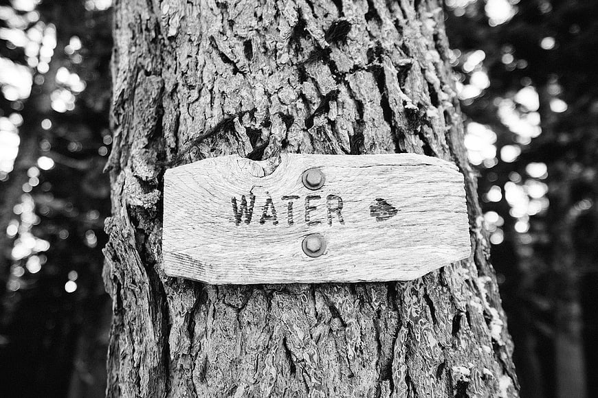 Black and white wooden water sign on tree trunk