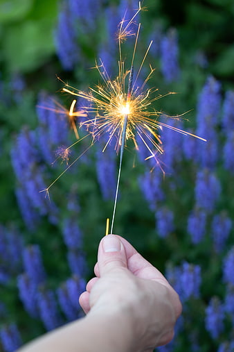 Hand holding sparkler with purple flowers background