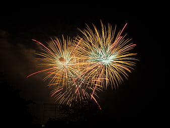 Colorful Fireworks Bursting in Night Sky
