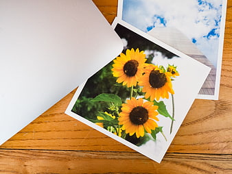 Printed Sunflower Photos on Wooden Table with White Envelope