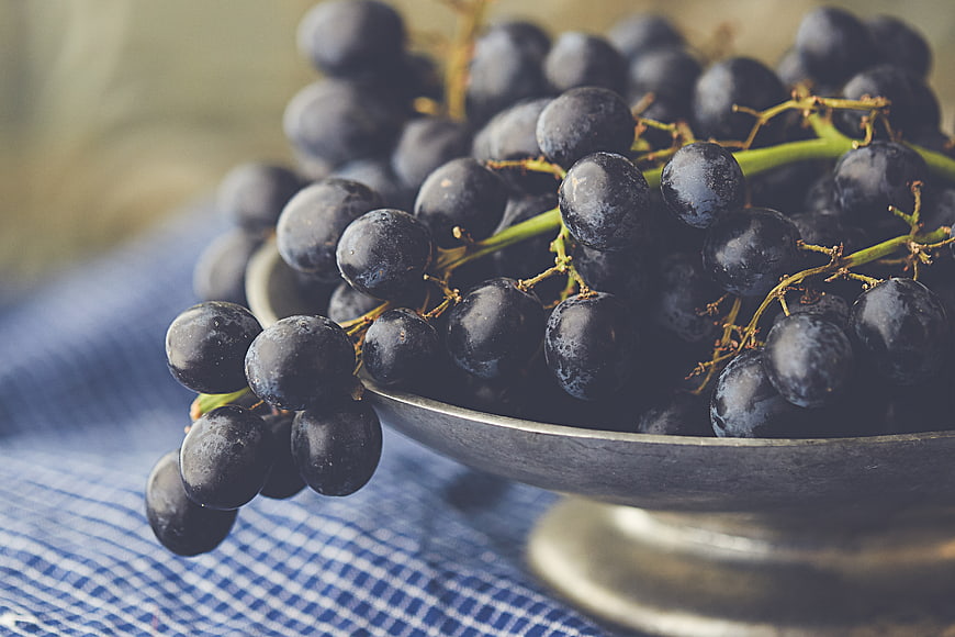 Close-up of ripe dark grapes in a rustic metal bowl