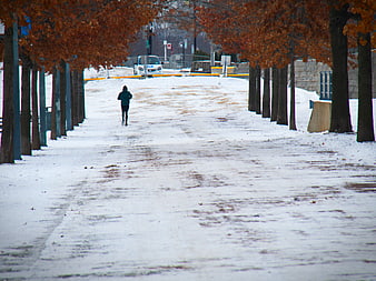 Lone Runner Jogging on Snowy Path in Winter