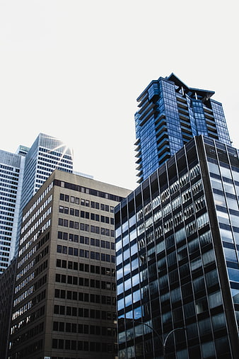 Low angle view of modern glass skyscrapers in downtown city