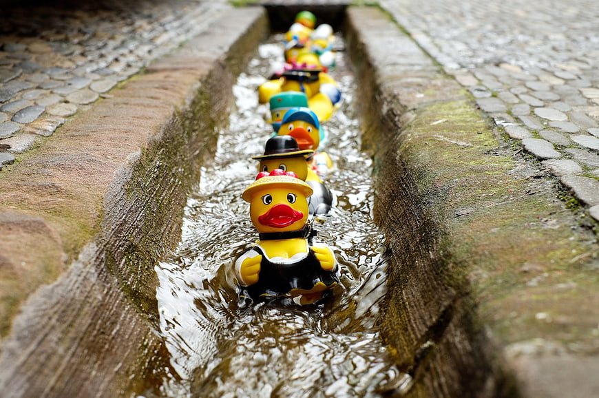 Line of yellow rubber ducks floating in stone water channel