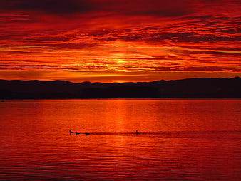 Dramatic Red Sunset Over Lake with Silhouetted Birds