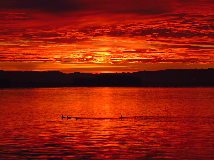 Dramatic Red Sunset Over Lake with Silhouetted Birds