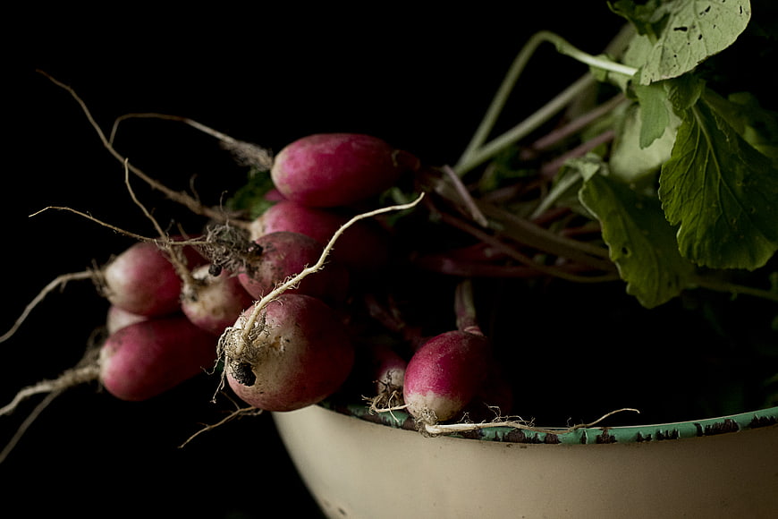 Fresh Harvested Radishes with Roots in Rustic Bowl