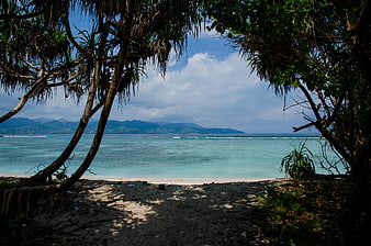 Tropical Beach View Through Trees