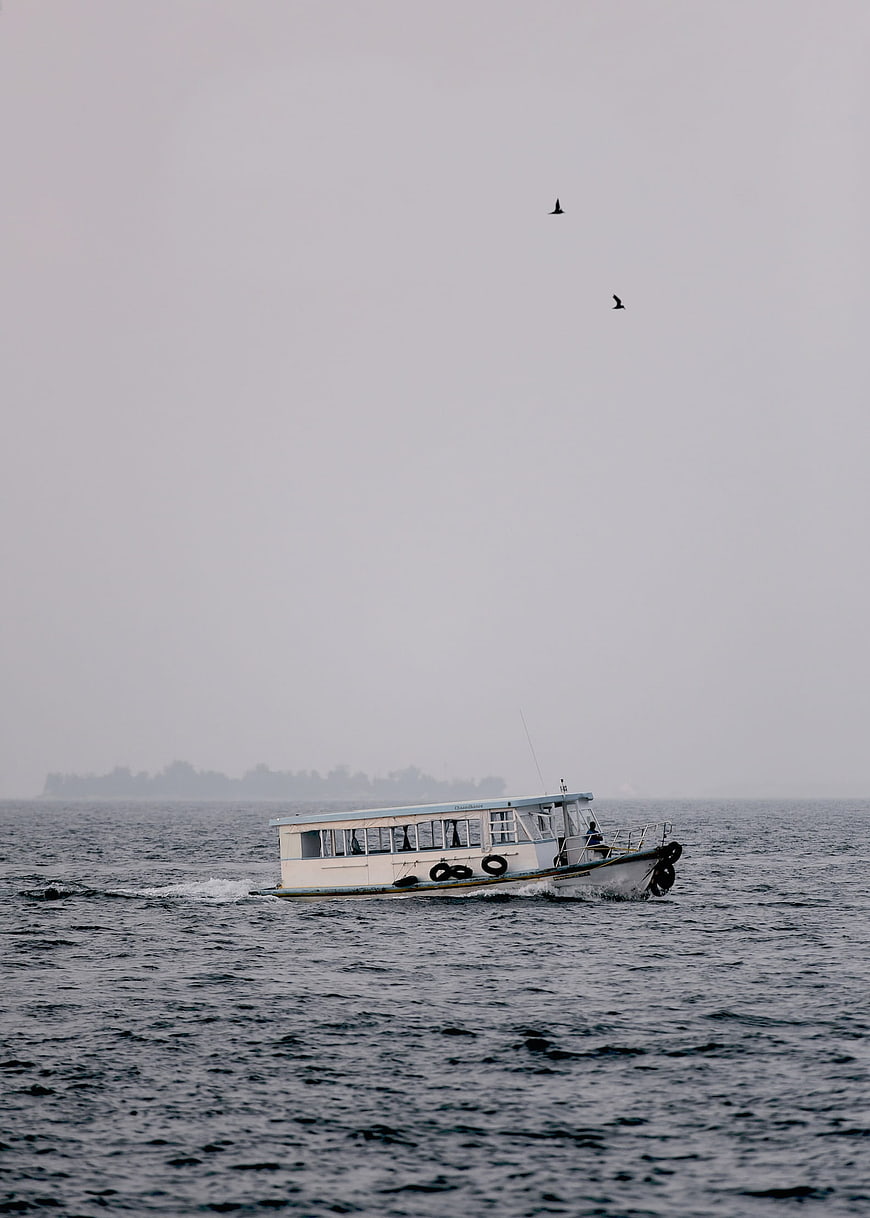 White passenger boat sailing on misty ocean with birds