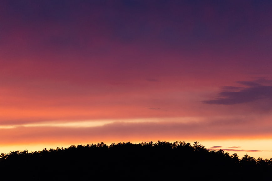 Vibrant purple and orange sunset sky over dark forest silhouette