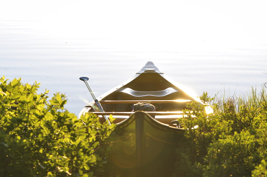 Canoe in Bushes by Lake at Sunset