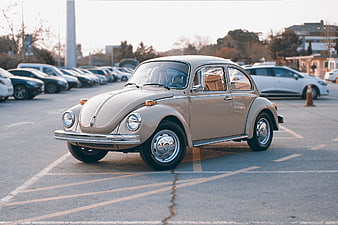 Vintage Beige Volkswagen Beetle in Parking Lot