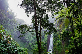 Misty Waterfall Cascading Through Lush Tropical Rainforest