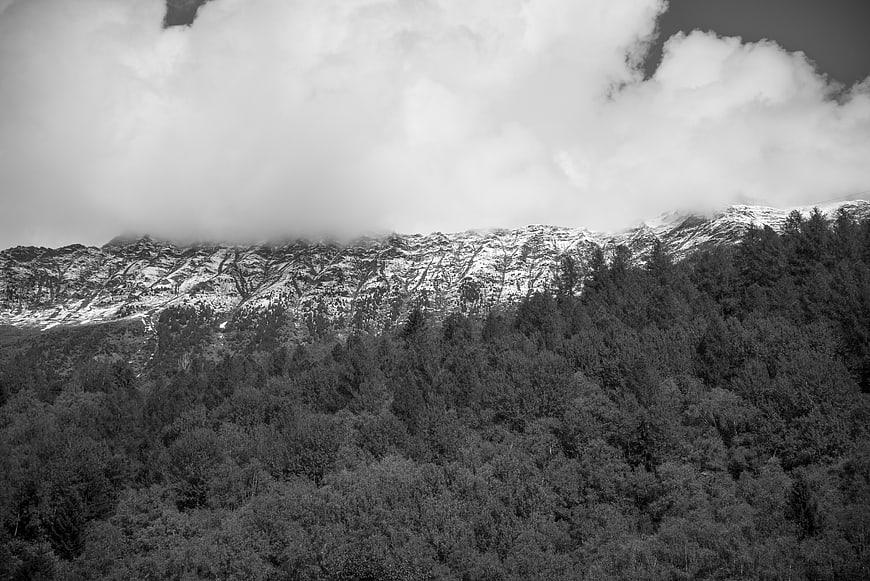 Black and white mountain landscape with snow and forest