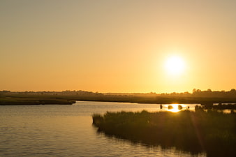 Golden sunset over calm river with reeds and reflection