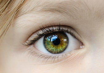Extreme Close-Up of a Child's Green Eye