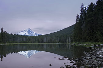 Serene Mountain Lake Reflection in Forest Landscape