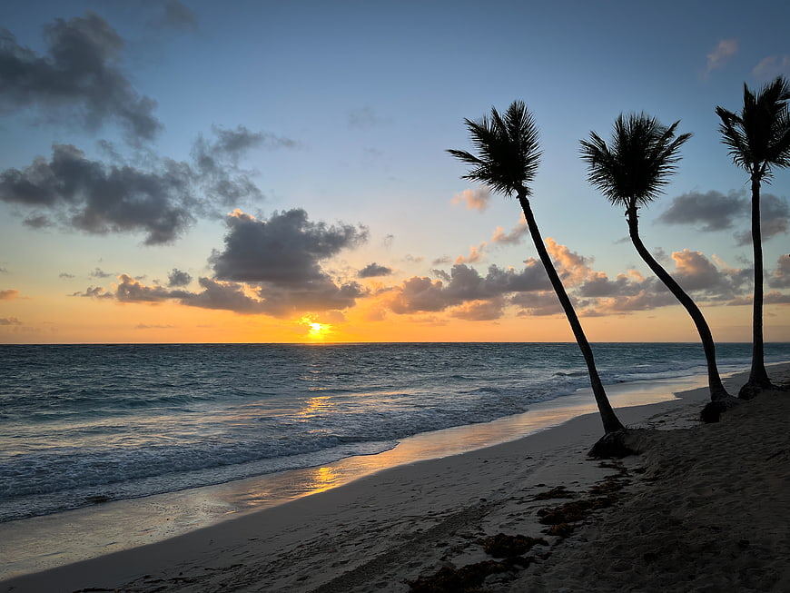 Tropical beach sunset with palm trees silhouettes