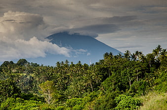 Majestic Volcano Rising Above Tropical Palm Forest