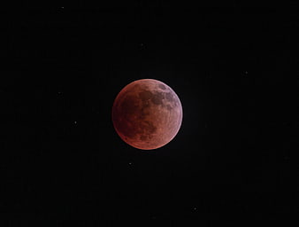 Red Blood Moon Eclipse in Night Sky