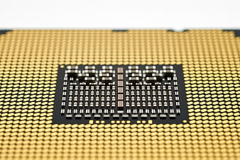 Macro Close-Up of Gold CPU Processor Pins and Contacts