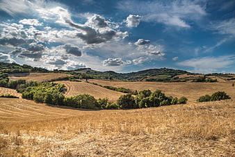 Golden Harvested Fields in Rolling Italian Hills Under Blue Sky