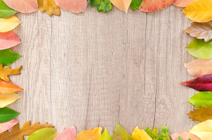 Autumn leaves border on rustic wooden background