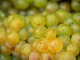 Close-up of ripe yellow grapes with natural speckles