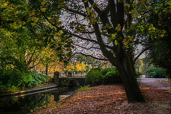 Autumn park scene with canal, bridge, and fallen leaves