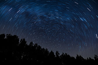 Star Trails Swirling Around Polaris Over Silhouetted Trees