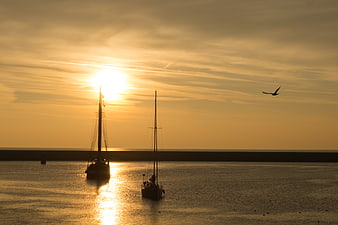 Silhouetted Sailboats at Golden Sunset Over Calm Harbor