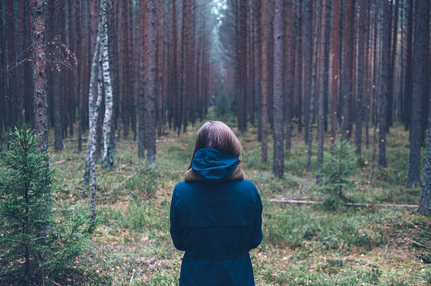 Woman in Blue Coat Standing in Misty Pine Forest
