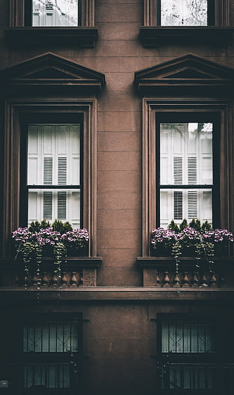 Symmetrical brownstone windows with pink flowers