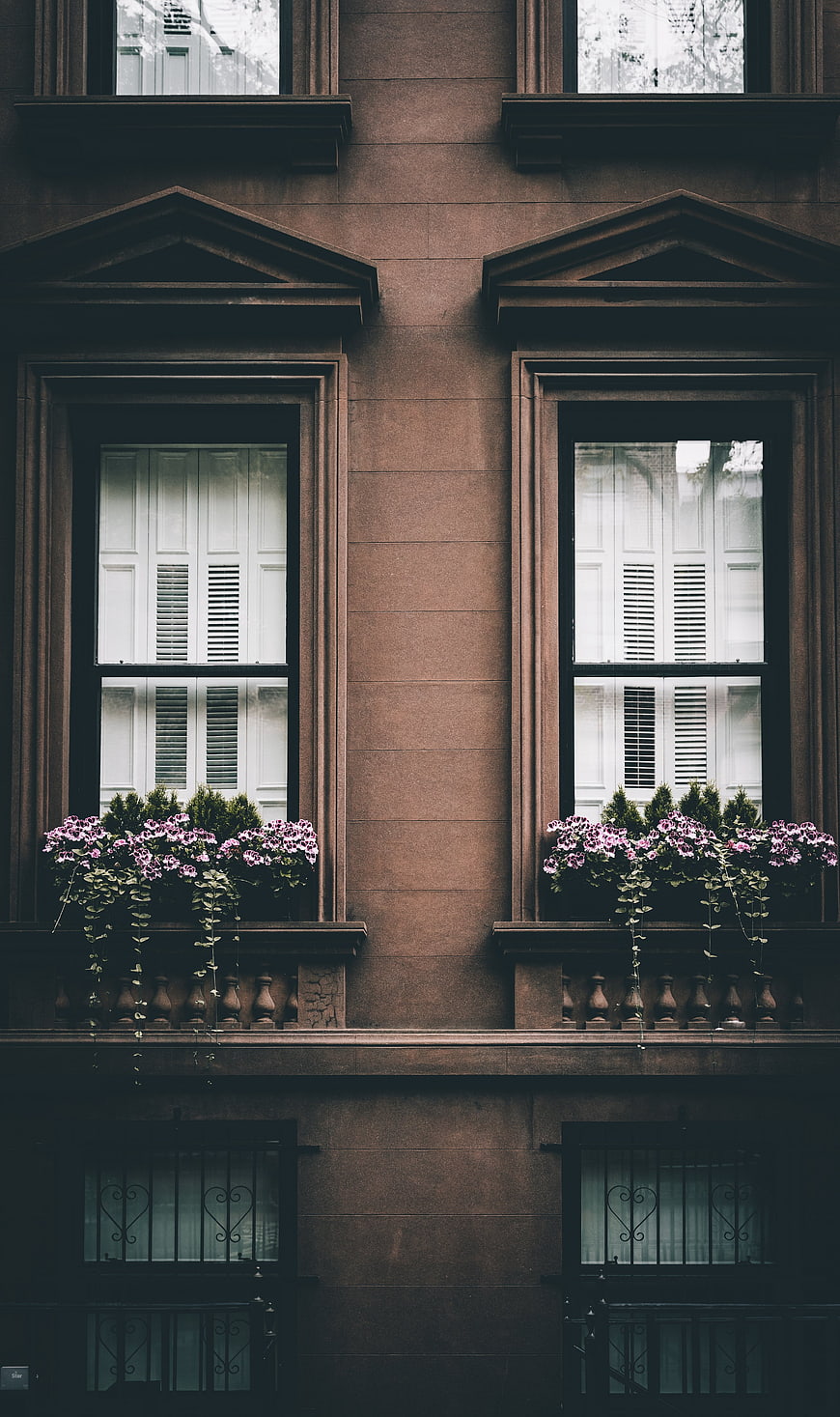 Symmetrical brownstone windows with pink flowers