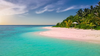 Tropical Island Beach with Turquoise Water and Palm Trees