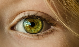 Extreme Close-Up of a Green Human Eye