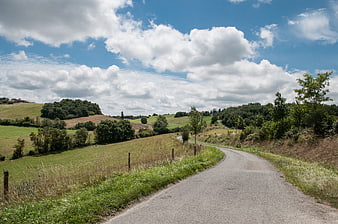 Winding Country Road Through Rolling Green Hills