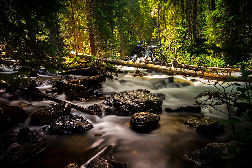 Serene Forest Stream with Long Exposure Water Flow