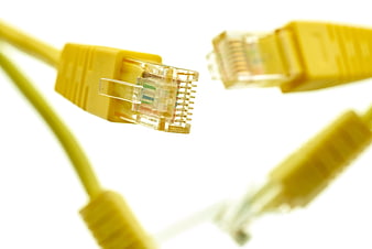 Close-up of yellow ethernet cables on white background