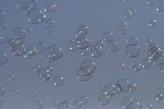 Abstract Soap Bubbles Floating Against Soft Blue Background