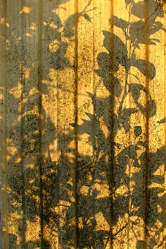 Golden leaf shadows on textured corrugated metal surface
