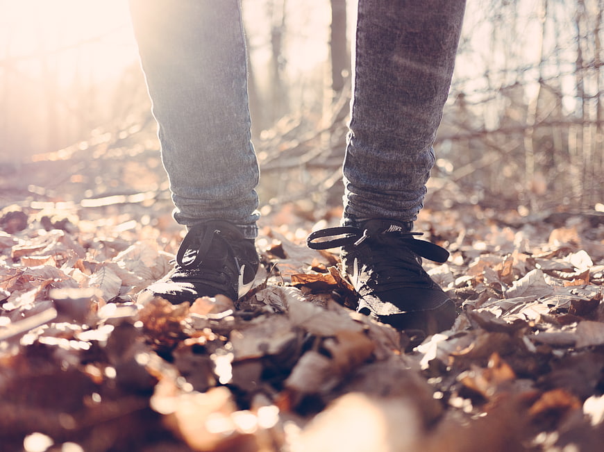 Close-up of sneakers on autumn leaves in forest