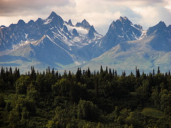 Majestic Snow-Capped Mountain Range Above Dense Green Forest
