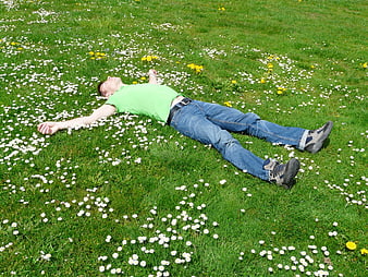 Man lying on green grass with daisies and dandelions