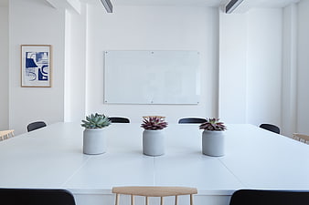 Minimalist white conference room with succulents and whiteboard