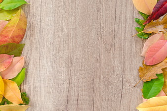 Autumn Leaves Border on Wooden Background with Copyspace