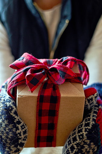 Close-up of hands holding a wrapped Christmas gift box