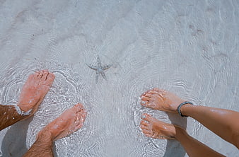 Couple's feet in shallow ocean water with starfish