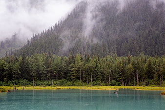 Misty turquoise lake surrounded by dense evergreen forest and mountains