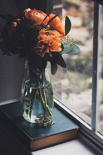 Orange ranunculus flowers in glass vase on book by window